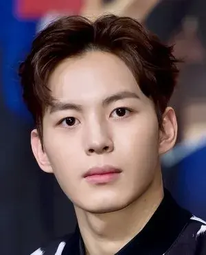 بیوگرافی Hong Bin Lee