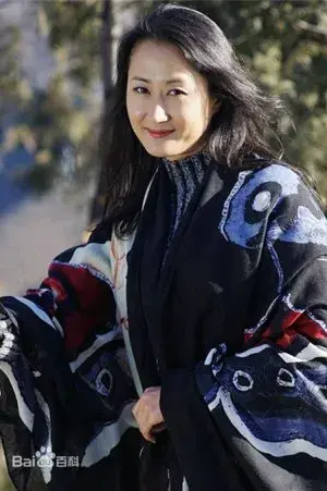 بیوگرافی Wan Ting Liu