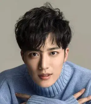 بیوگرافی Yan Yang Wang