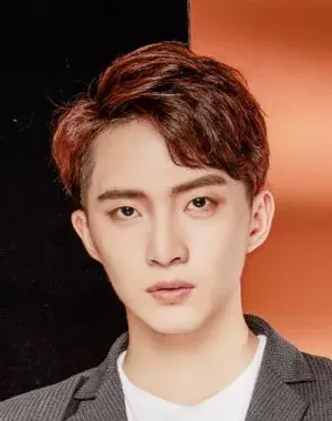 بیوگرافی Fu Jie Huang