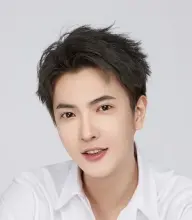 بیوگرافی Yan Lei Dong