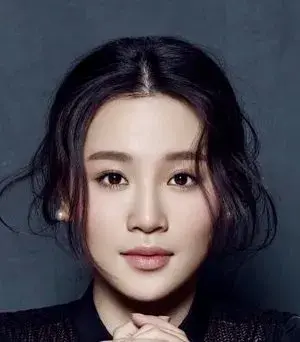 بیوگرافی Xue Fei Zhou