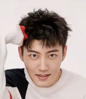 بیوگرافی Guan Zhong Ding