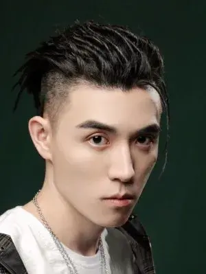 بیوگرافی Xie Yan Feng