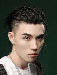 بیوگرافی Xie Yan Feng