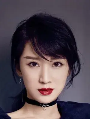 بیوگرافی Nian Li