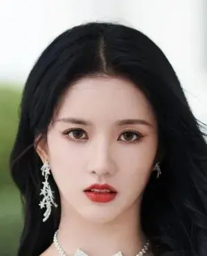 بیوگرافی Xie Ning Liu