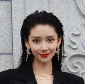 بیوگرافی Wen Qing Huang