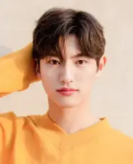 بیوگرافی Hyun Woo Son