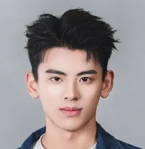 بیوگرافی Zhen Nan Ying