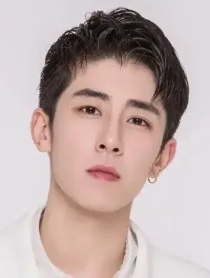 بیوگرافی Feng Song Lin
