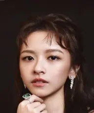 بیوگرافی Yen Fei Chen