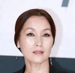 بیوگرافی Hye Young Lee