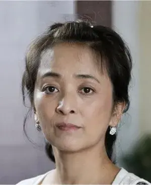 بیوگرافی Qin Qin Li