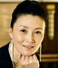 بیوگرافی Yin Zhu
