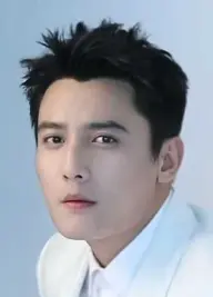 بیوگرافی Qing Liu
