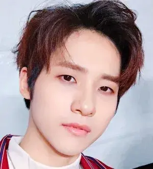 بیوگرافی Dong Woo Shin