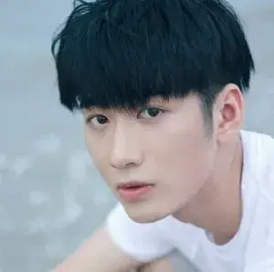 بیوگرافی Lin Hu Feng