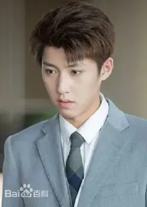 بیوگرافی Li Wen Zhang