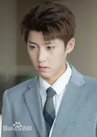 بیوگرافی Li Wen Zhang