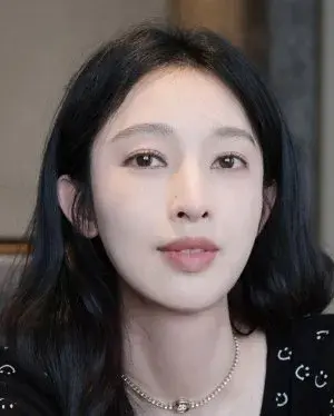 بیوگرافی Li Zhang