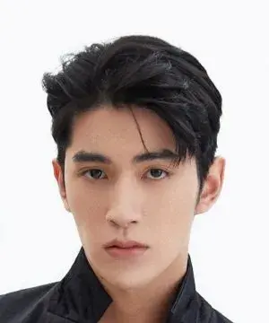 بیوگرافی Zheng Jie Cai