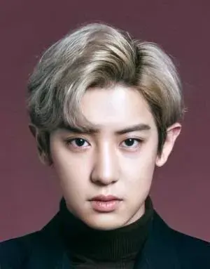 بیوگرافی Chan Yeol Park