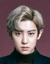 بیوگرافی Chan Yeol Park