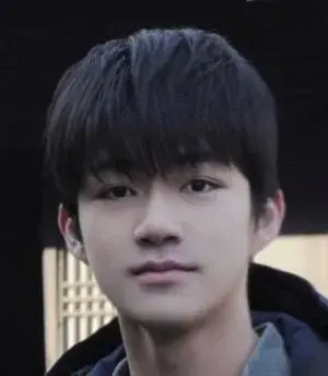 بیوگرافی Ruo Gu Liu