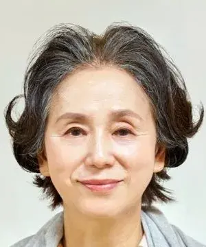 بیوگرافی Yoko Tetsuka