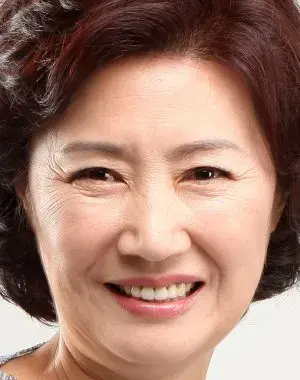 بیوگرافی Hae Sook Ahn