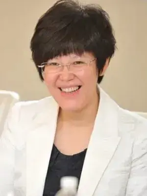 بیوگرافی Gao Xuan