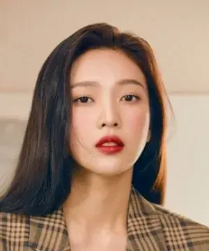بیوگرافی Soo Young Park