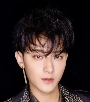 بیوگرافی Zi Tao Huang
