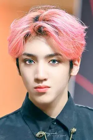 بیوگرافی Woo Seok Jung