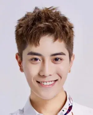 بیوگرافی Li Jun Feng