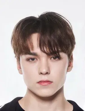 بیوگرافی Hansol Vernon Chwe