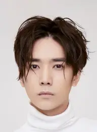 بیوگرافی Chan Liu