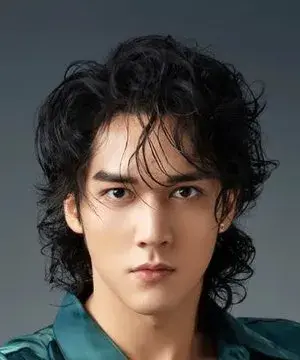 بیوگرافی Hai Liang Chen