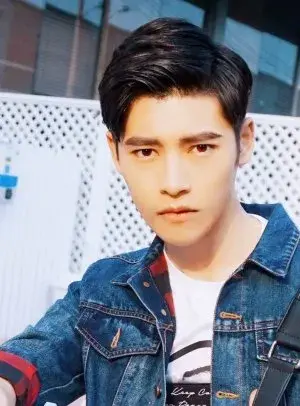 بیوگرافی Xue Feng Liang