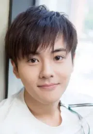 بیوگرافی Zi Jie Wang