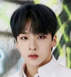 بیوگرافی Seong Jun Son