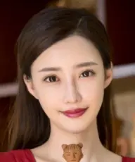 بیوگرافی Fan Fei Liu