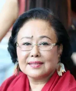 بیوگرافی An Lin Duan