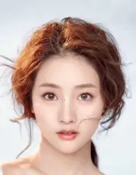 بیوگرافی Li Lan Zhu