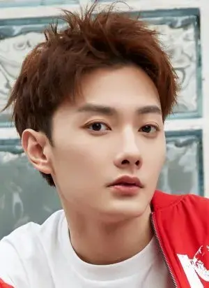 بیوگرافی Jing Hao Wang