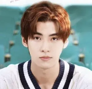 بیوگرافی Yuan Wen