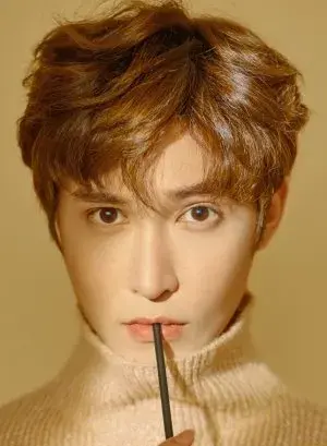 بیوگرافی Shi JIe Lin