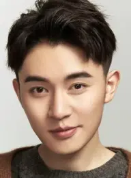 بیوگرافی Lin Qing Zhang
