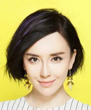 بیوگرافی Jia Rong Lu